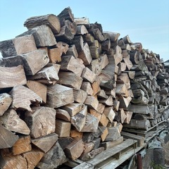 伐採木　原木　引き取り