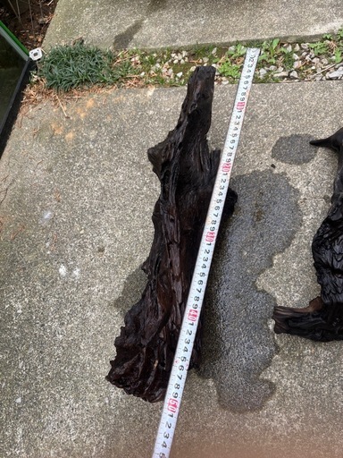 アクアリウム用　流木大　横50㌢　縦20㌢