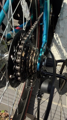 ブリヂストン BRIDGESTONE エクスプレスジュニア 22インチ エメラルドグリーン EXJ26 1A941D0