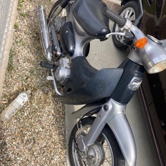 原付ホンダLittle cup の画像
