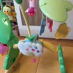 プーメリーの画像