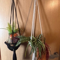 🪴造花インテリア🌸2セットの画像