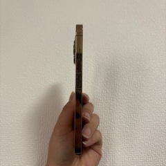 iPhone13pro 512GB  SIMフリーの画像