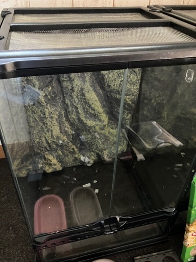 爬虫類用品　まとめて