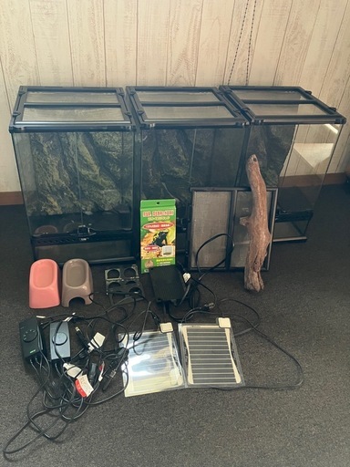 爬虫類用品　まとめて