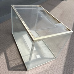 水槽40cmやり取り中
の画像