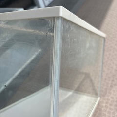 水槽40cmやり取り中
の画像