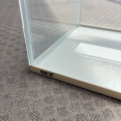 水槽40cmやり取り中
の画像