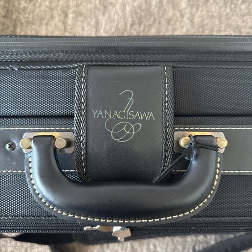 Yanagisawa      Alto saxophone?