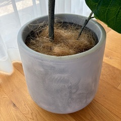 観葉植物　フェイクグリーン　鉢付きの画像
