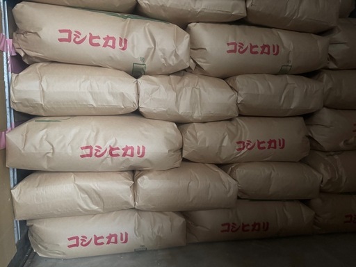 【取引中】13令和7年度産　コシヒカリ　玄米　30kg