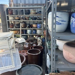 壺　　メダカ蜂　火鉢の画像