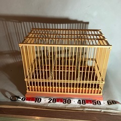 鳥かごの画像