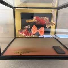 久月　日本人形　ガラスケース付　状態良好の画像