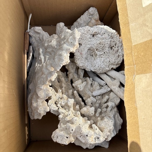 アクアリウム用品セット　転売可