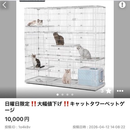 日曜日限定‼️早い者勝ち‼️大幅値下げ