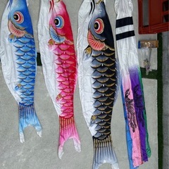 徳永　金鱗鯉のぼり　 2m 1.5m 1.2m ふるせフルセットの画像
