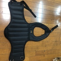 WESING ボディプロテクターの画像