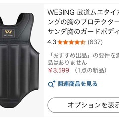 WESING ボディプロテクターの画像