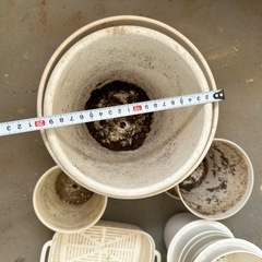 植木鉢　【白】の画像