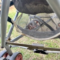 リッチェルB型ベビーカーの画像