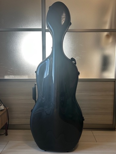 ?2025年2月購入・超美品！?】チェロ Fiumebianca M-750 