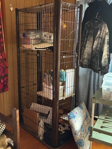 猫ケージ２段