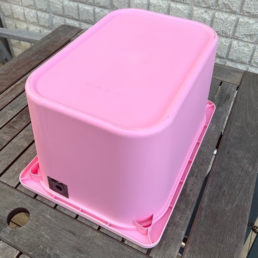 メダカ飼育容器ピンク【トロファスト】1個 (チョコっとメダカ) 沼久保