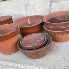 盆栽　植木鉢の画像