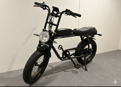 期間限定?電動アシスト自転車