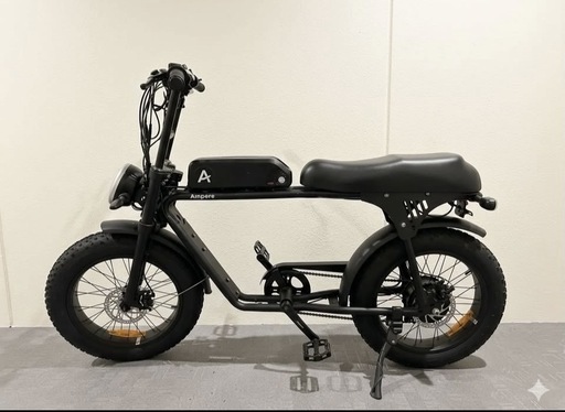 期間限定?電動アシスト自転車