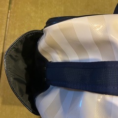 NIKE スポーツバッグの画像