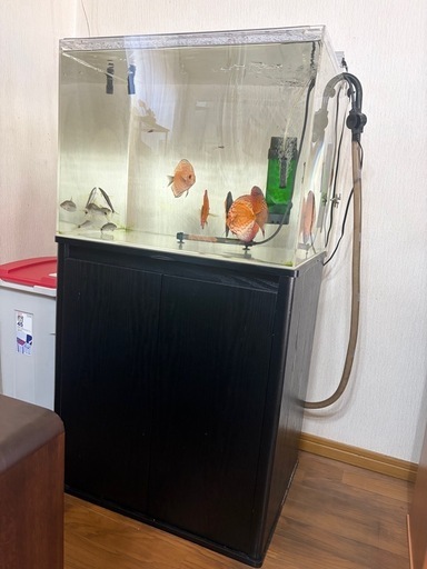 値段交渉可能　アクアリウム用品全て