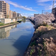 (お代金不要)今から名駅で飲みいける方探しています！