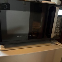 売約済み
です【電子レンジ(2024年製)】アイリスオーヤマ MB-F2202I｜22L フラット｜使用1年の画像