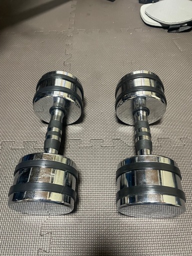 ファイティングロード　　クロームダンベル１０kg１つ