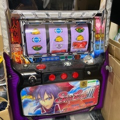 スカイラブの中古が安い！激安で譲ります・無料であげます｜ジモティー