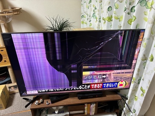 SONY 49インチ4K液晶テレビ（ジャンク品） (ずな) 庄内緑地公園の 