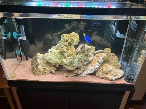 海水水槽フルセット