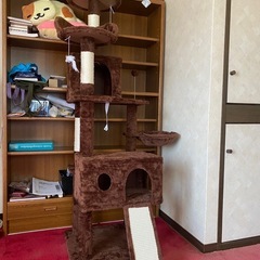キャットタワー【美品】の画像