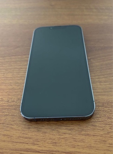 2ヶ月だけ使用　iPhone13pro  simフリー 256
g