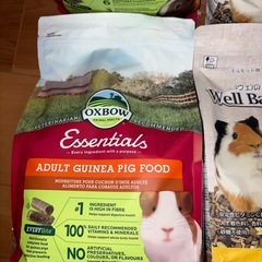 モルモット フード 新品 み未開封の画像