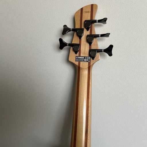 YAMAHA trbx505