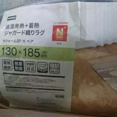 ニトリ　
ラグの画像