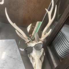 引き取り限定｜・ストライダー（LOUIS GARNEAU） ・鹿のツノ付き頭骨・掃除機・カラーコーン・大理石板【世田谷区経堂／くろねこドーナツ】の画像