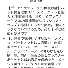 テニスバッグ バックパック 2本収納 脱臭シューズ室 ピクルスボール兼用の画像