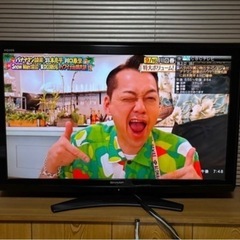 チンアナゴ様　液晶テレビ　AQUOS シャープ　SHARP LC-40E9の画像