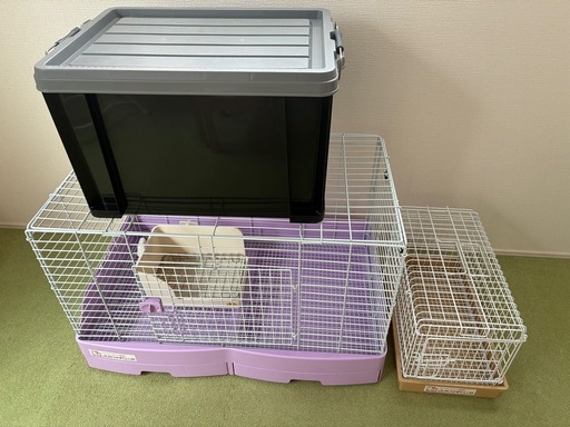 うさぎゲージ