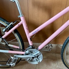 RITEWAY PASTURE ライトウェイ パスチャー 本体 380 ピンク[美品 