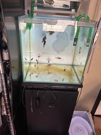30cmキューブ水槽➕水槽台